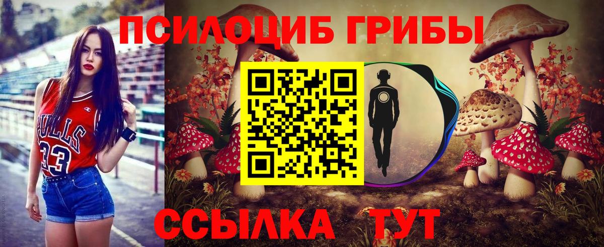 Галлюциногенные грибы мицелий Зеленодольск