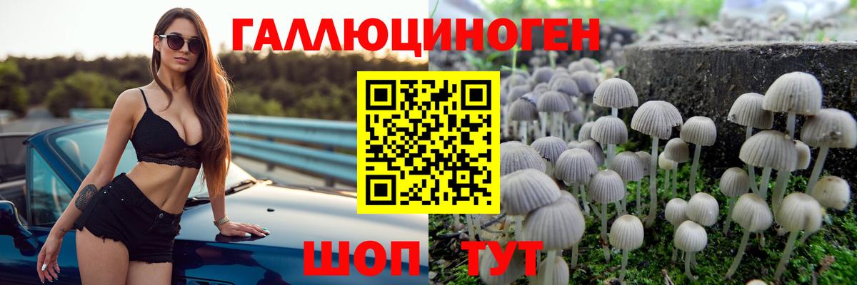 Зеленодольск  наркота  Вход с VPN  Галлюциногенные грибы прущие грибы 